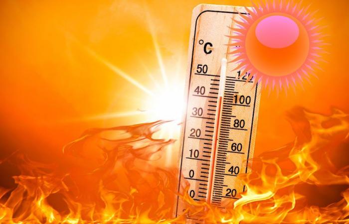 Chaleur infernale à Cosenza : 40 degrés dans la vallée de Crati. Tu transpires même à Sila, 30 degrés à Camigliatello