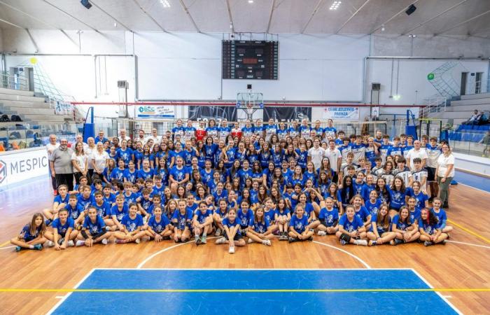 Des entraîneurs qui croient au projet et au secteur jeunesse : voici les secrets du Volleyball Faenza
