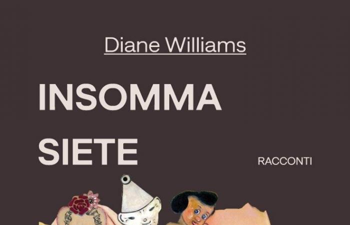 Avant-garde américaine : la fiction flash de Diane Williams