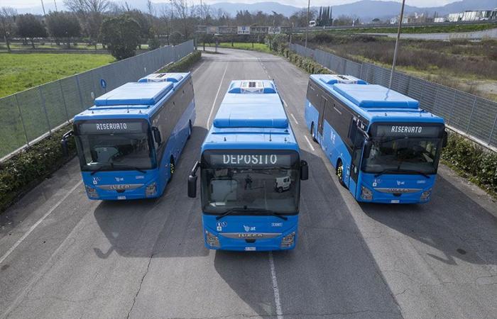 Tuscany Bus : un nouveau véhicule arrive tous les deux jours