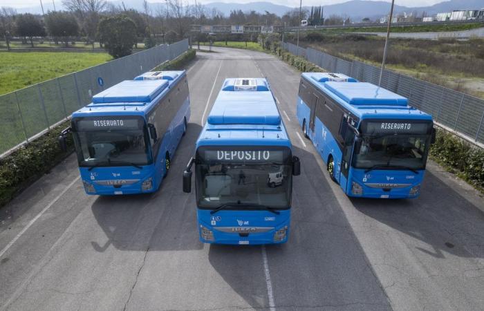 Autolinee Toscane : d’ici 2025, deux nouveaux bus chaque jour sur les routes toscanes