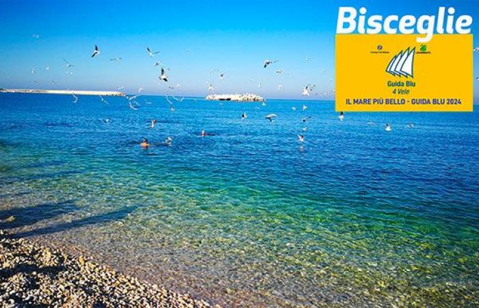 Bisceglie obtient les quatre voiles du classement “La plus belle mer”