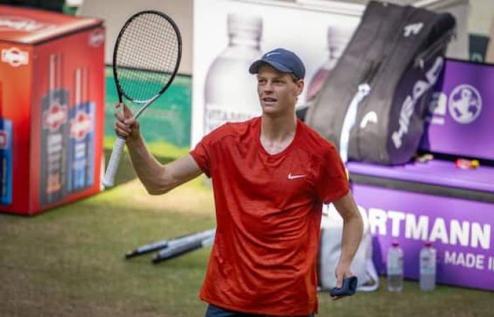 Tennis : Pécheur en finale au tournoi de Halle, Zhang battu en 2 sets