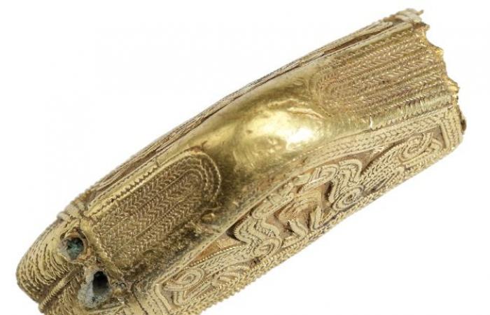 Une dame de 80 ans se rend dans les champs avec un détecteur de métaux et découvre un chef-d’œuvre de gravure sur or du 7ème siècle. Il le vend 18 mille 900 euros