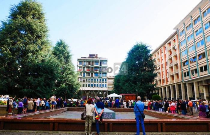 Toujours sur la Piazza Europa défendant les cèdres de l’Atlas : “les abattre est un crime environnemental”
