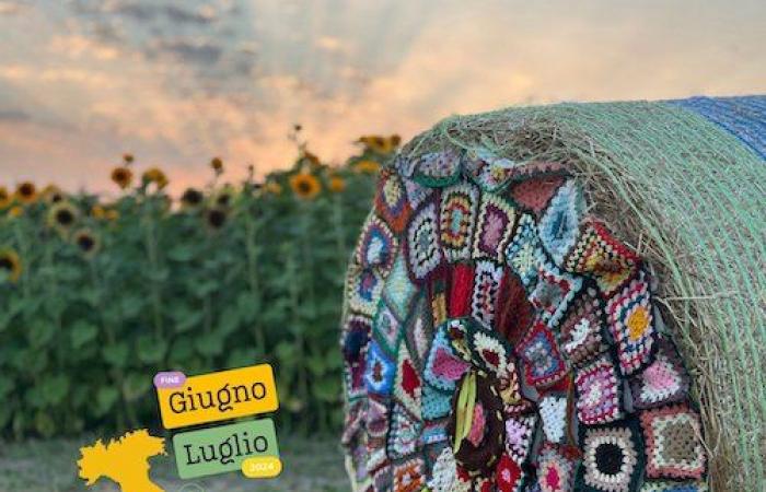 Foggia, les champs de Tournesol et de Lavande ouvriront à partir du 27 juin