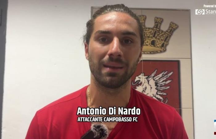 Ligue professionnelle. Campobasso: Braglia veut confirmer Di Nardo – 21/06/2024 – TeleRegioneTV