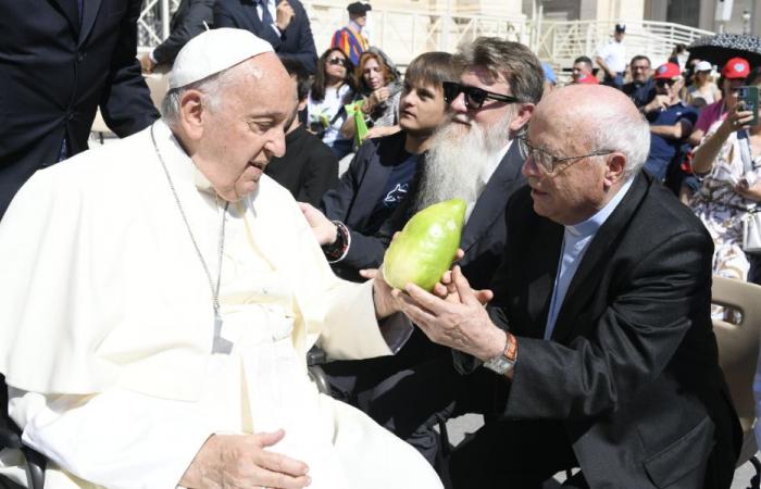 Don Augusto offre au Pape le cèdre de Calabre : “une émotion unique et indescriptible”