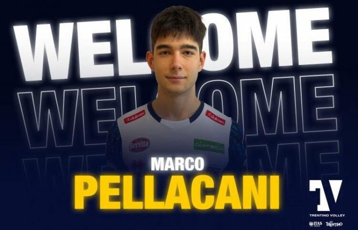 Marco Pellacani sera le quatrième défenseur central d’Itas Trentino en Super League