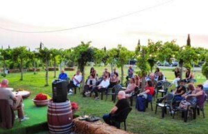 “Œnotourisme 4.0 : Le vin comme moteur culturel et économique de Brindisi”