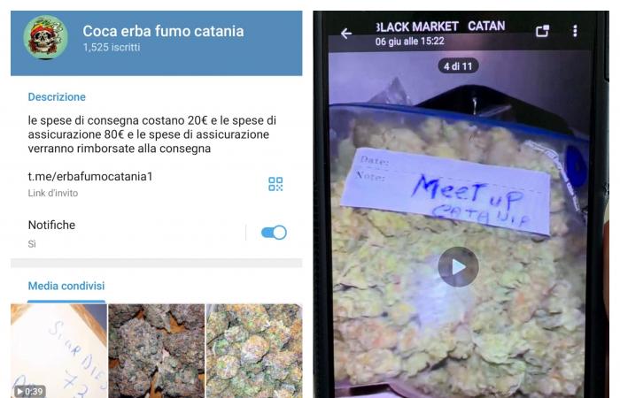 comment fonctionne le marché noir de la drogue sur Telegram
