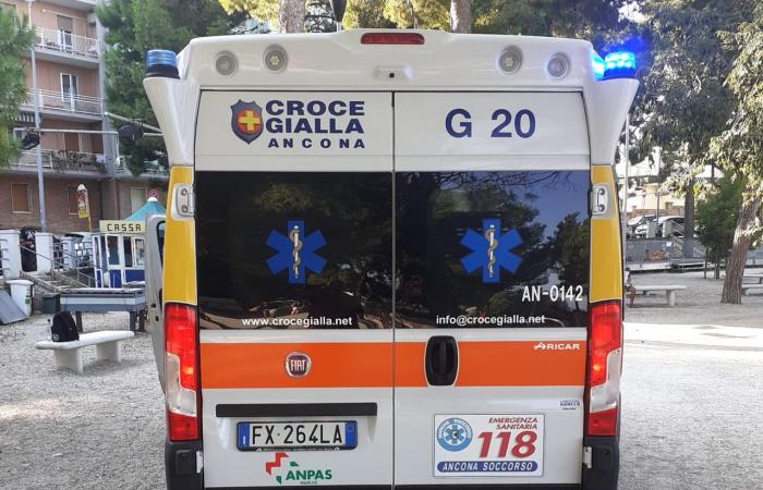 Ancône, vol choquant dans le centre : un homme âgé agressé alors qu’il était assis sur un banc – News Ancona-Osimo – CentroPagina
