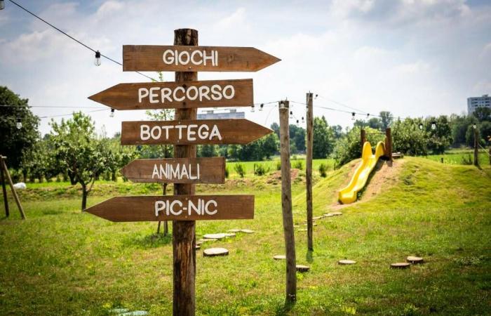 À la ferme “Tenuta Urbana”, pique-nique dans la nature et films sous les étoiles aux portes de Brescia