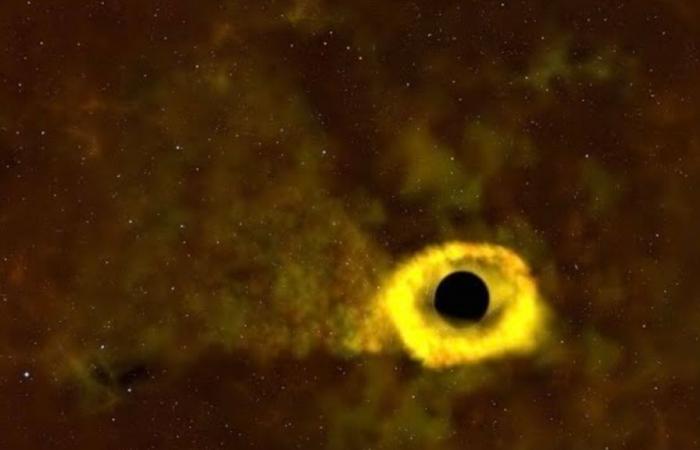 Un trou noir détruit une étoile à 375 millions d’années-lumière de la Terre : regardez la vidéo