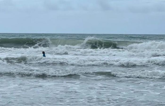 Des surfeurs bravent les vagues et sauvent trois jeunes en danger de noyade