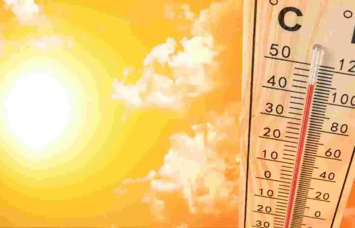 » L’Autorité Sanitaire Locale de Teramo active le plan chaleur : une série de mesures pour gérer les urgences liées à la chaleur