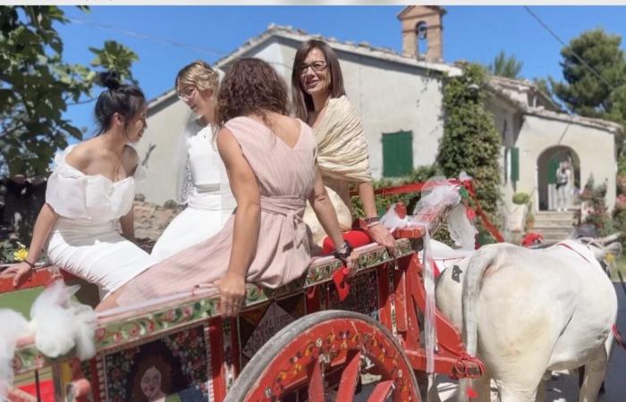 Fleurs d’Oranger / D’Australie et Bologne pour le double “oui” avec les mariées sur le chariot – Vidéo