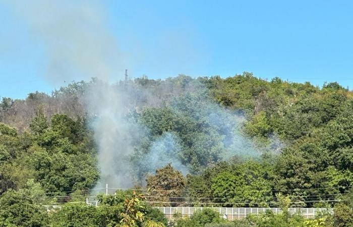 Le plan de lutte contre les incendies d’été du Frioul-Vénétie Julienne est prêt