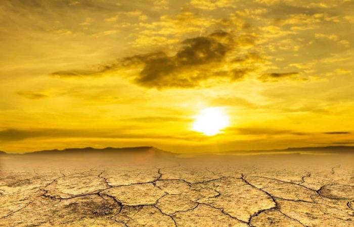 Météo, sécheresse en Sicile : un phénomène climatique jamais vu auparavant. Le sud de l’Italie et la Sardaigne sont également impliqués