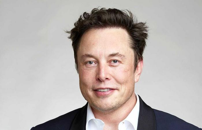 Elon Musk devient père pour la douzième fois