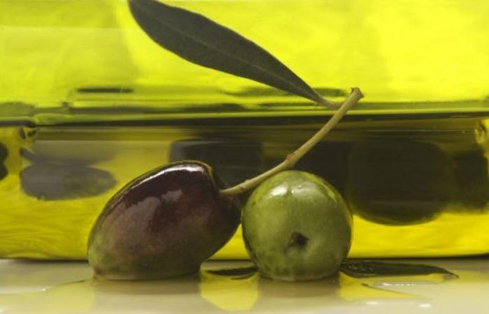 L’excellente huile d’olive n’existe plus, les bons oléiculteurs et meuniers n’existent plus, les dégustateurs compétents n’existent plus