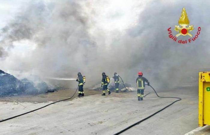 Une entreprise de gestion des déchets en feu, un grand incendie dans une zone industrielle