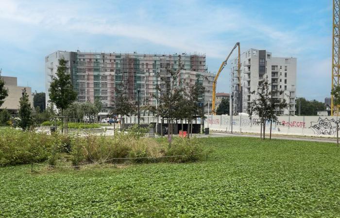 Milan | Porta Vittoria – Divers chantiers dans la région : juin 2024