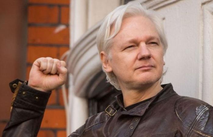 Juliane Assange est libre : victoire ou « concession » ?