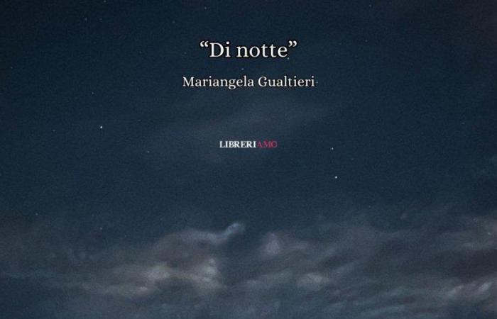 “La nuit” de Mariangela Gualtieri, le poème extraordinaire à lire à la fin de la journée