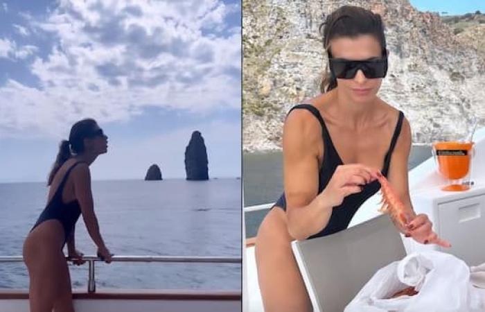 Elisabetta Canalis, dans les îles Éoliennes, négocie le prix des crevettes depuis le bateau. La vidéo d’Élodie