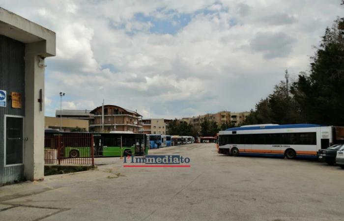 Ataf Foggia, le chantier de l’entreprise est libéré. 42 vieux bus vont à la casse