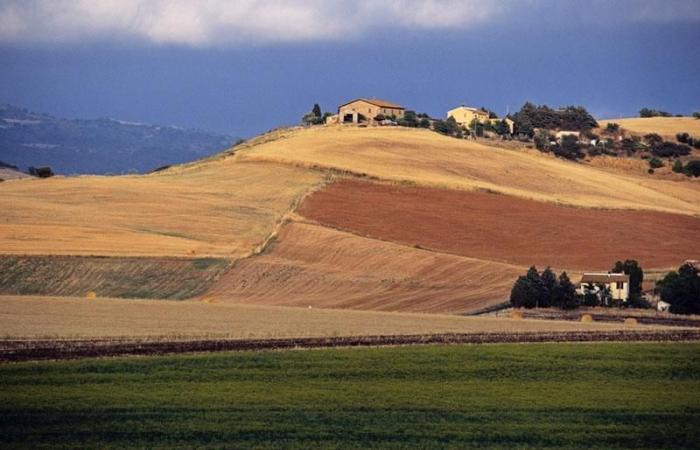 Toscane, un appel d’offres de 2 millions pour la formation des entrepreneurs agricoles