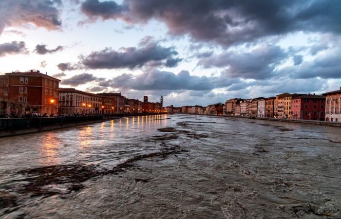 Concessions pour la relance des entreprises en Toscane : les candidatures sont ouvertes à partir du 9 juillet