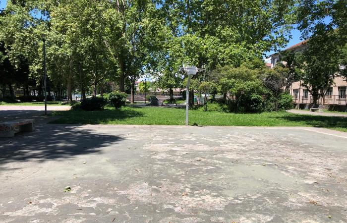 Terrains de basket et de volley en morceaux, les jardins sont interdits aux enfants – LA VIDÉO – Turin News