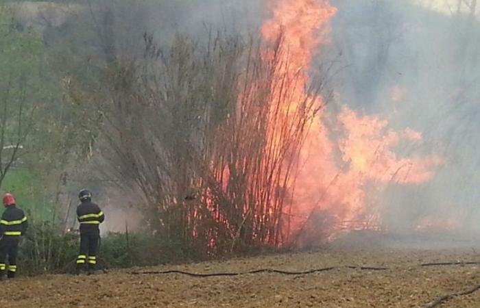 Incendies de forêts, la Région renouvelle la convention avec les Sapeurs-Pompiers avec 2,5 millions