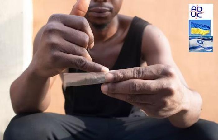 ADUC – Article – Pourquoi il est urgent de répondre à l’évolution du paysage de la drogue en Afrique de l’Ouest