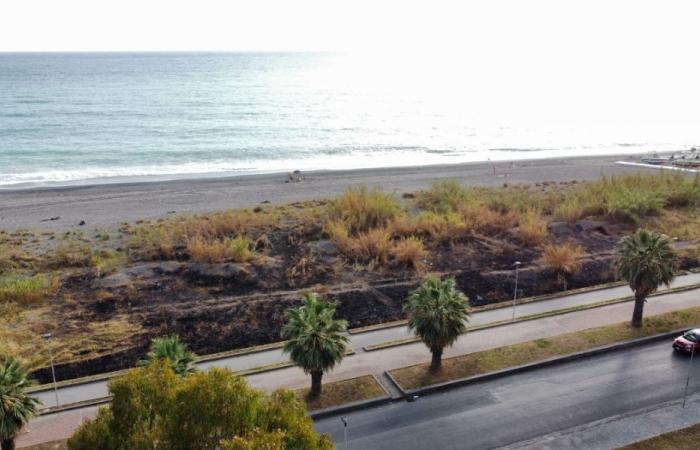 Praia a Mare, la zone naturaliste détruite par les flammes : « incendie accidentel ou incendie criminel ? »