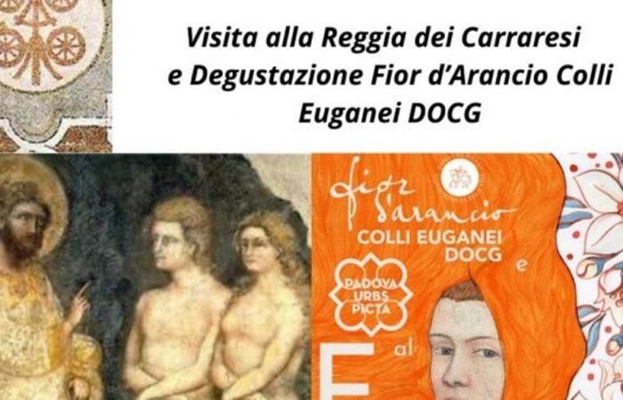 Fleur d’oranger Colli Euganei DOCG et Padova Urbs Picta, un événement spécial à la Loggia dei Carraresi