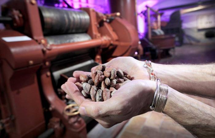 Choco Story, le Musée du Chocolat et du Gianduja ouvre ses portes à Turin
