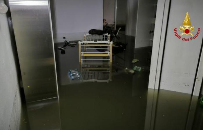 Mauvais temps à Rovigo, maisons et rues inondées : plus de 200 demandes d’aide. Zaia : “L’état d’urgence déclaré”