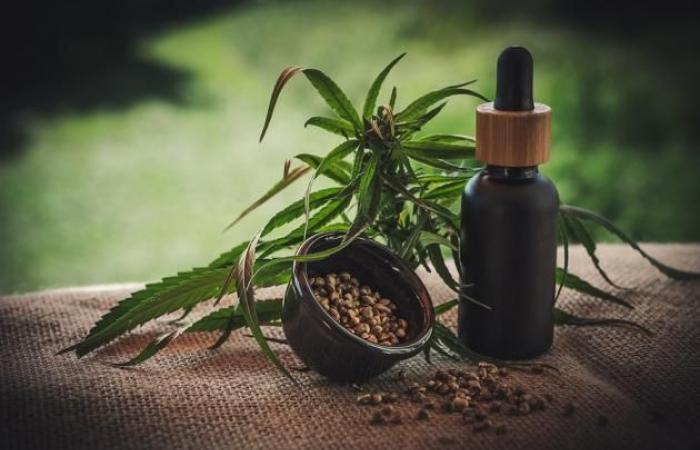 Viterbo News 24 – Avantages potentiels de l’huile de cannabis pour les problèmes auditifs
