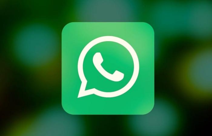 Whatsapp est mis à jour, la nouvelle qui rendra fous les utilisateurs : prendre des photos et passer des appels vidéo sera amusant