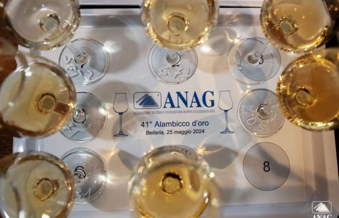 41e Concours ANAG Alembicco d’Oro : 78 médailles pour les eaux-de-vie, spiritueux et grappa – Agenfood