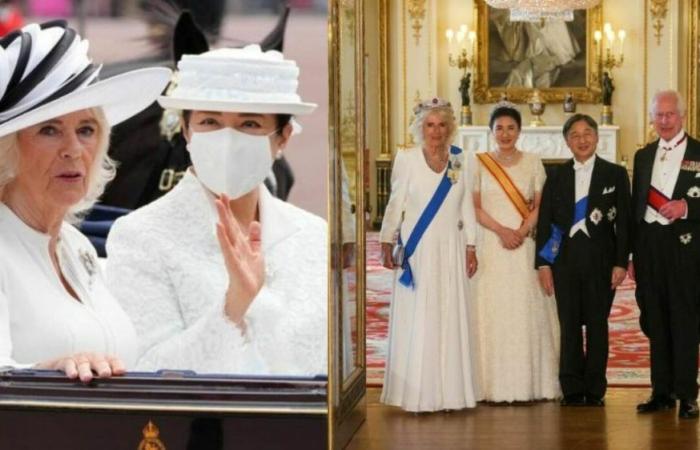 Camilla et le diadème à 8 millions, l’allergie de l’impératrice, le menu et William (forcé de ne pas voir l’Angleterre)