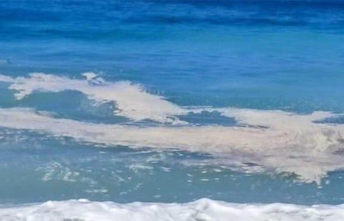 Mer sale et plages délabrées à Salerne, Avella : « La municipalité et la capitainerie interviennent »