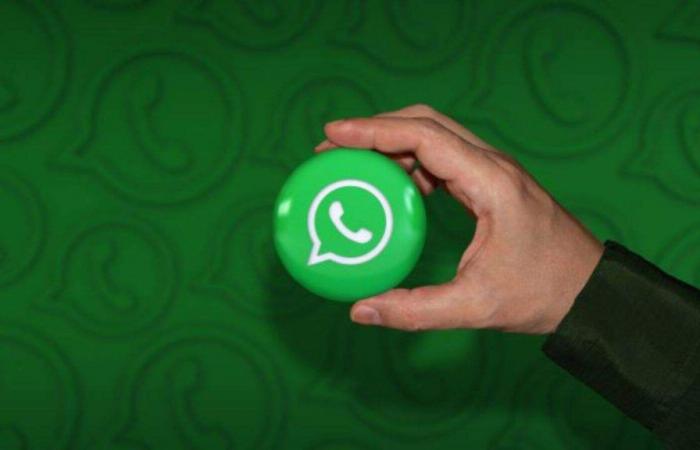 WhatsApp : réponses rapides aux vidéos et appels vers des numéros non enregistrés
