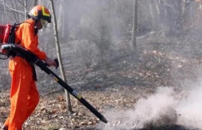 Risque d’incendie, à partir du 1er juillet l’interdiction d’allumer des feux entrera en vigueur dans toute la Toscane