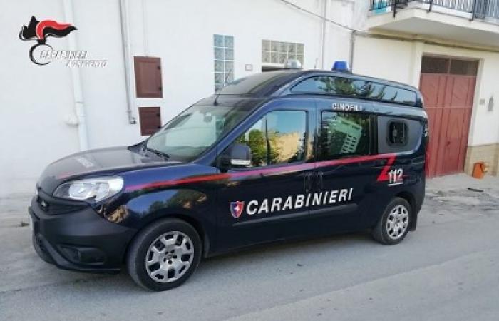 Licata. Deux carabiniers attaqués à coups de griffures et de coups de poing
