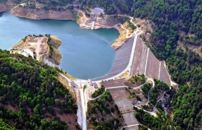 Pénurie d’eau à Reggio de Calabre, Barreca : « Ce sera un été d’urgences »