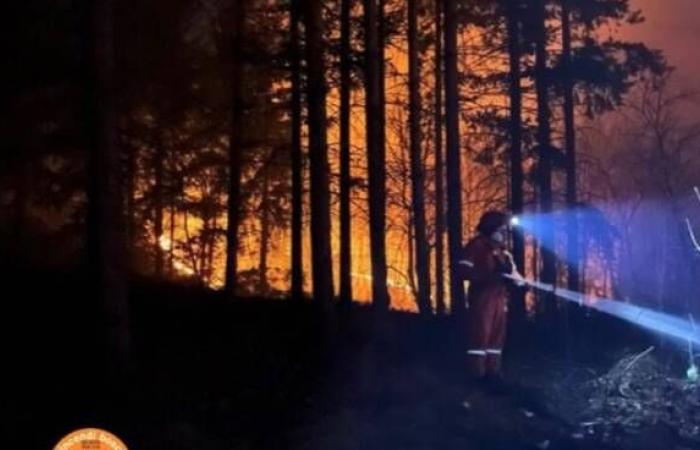 Feux, allumage de feux interdits en Toscane à partir du 1er juillet : comment déclarer